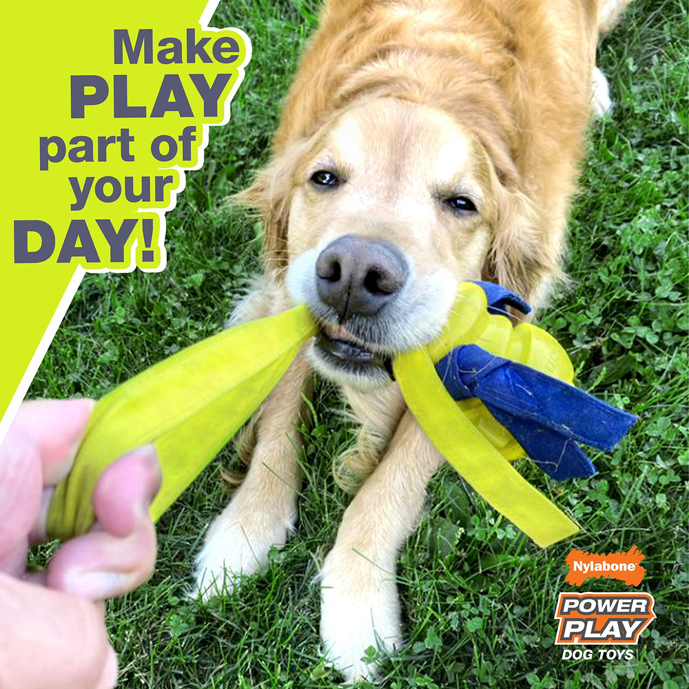 Nylabone Power Play Gripz, rebote y balance para sesiones dinámicas de juego.