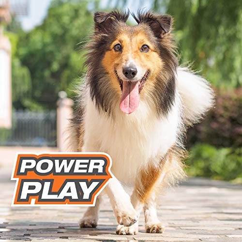 Nylabone Power Play Gripz, resistencia robusta para morder y jugar sin perder forma.