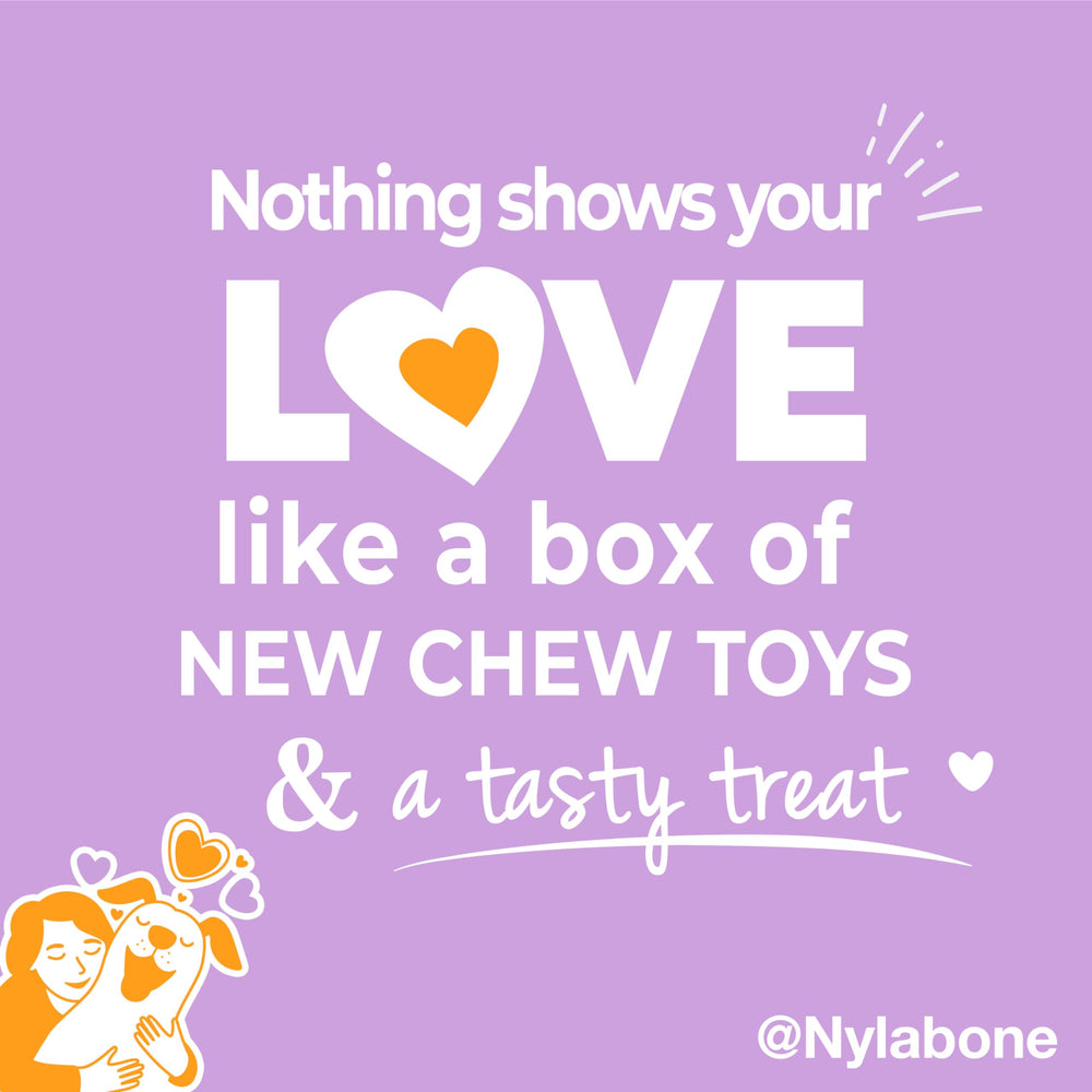 Nylabone premio natural Nubz, bocadillo digestible con ingredientes limitados