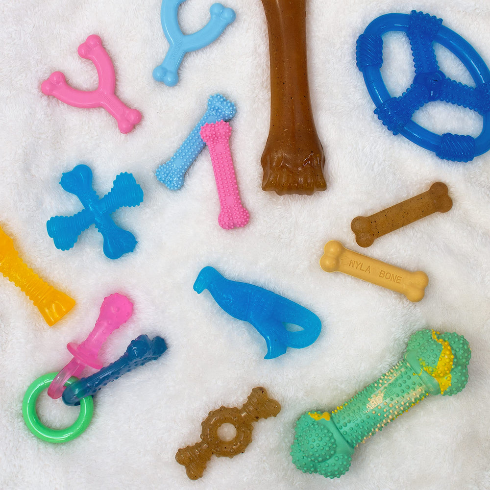Nylabone protuberancias dentales para limpieza suave de dientes.