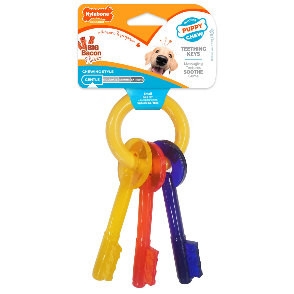 Nylabone Puppy Chew Ring anillo resistente para dientes en desarrollo de cachorros