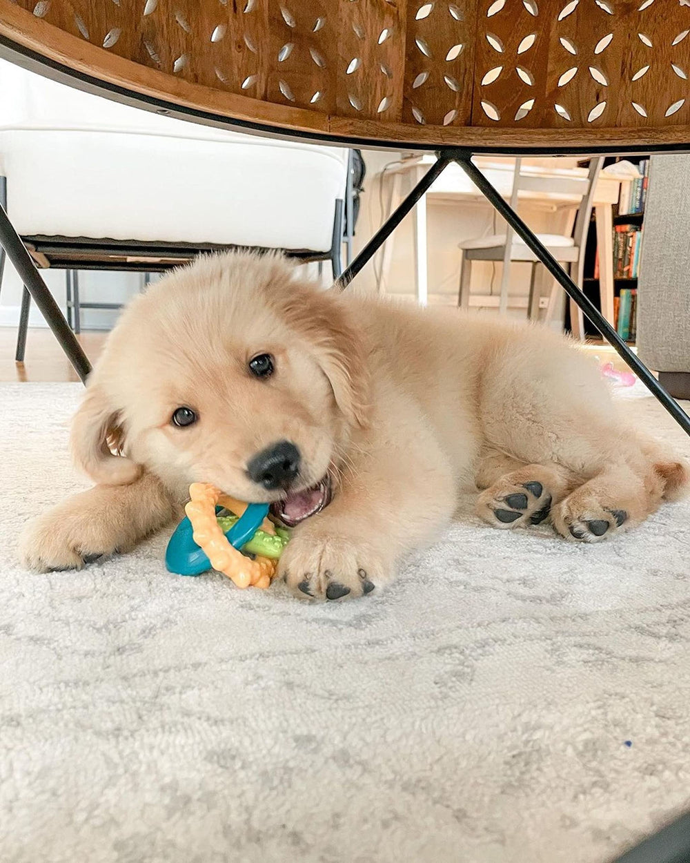 Nylabone Puppy Power Chew tamaño pequeño para perros de hasta 25 libras