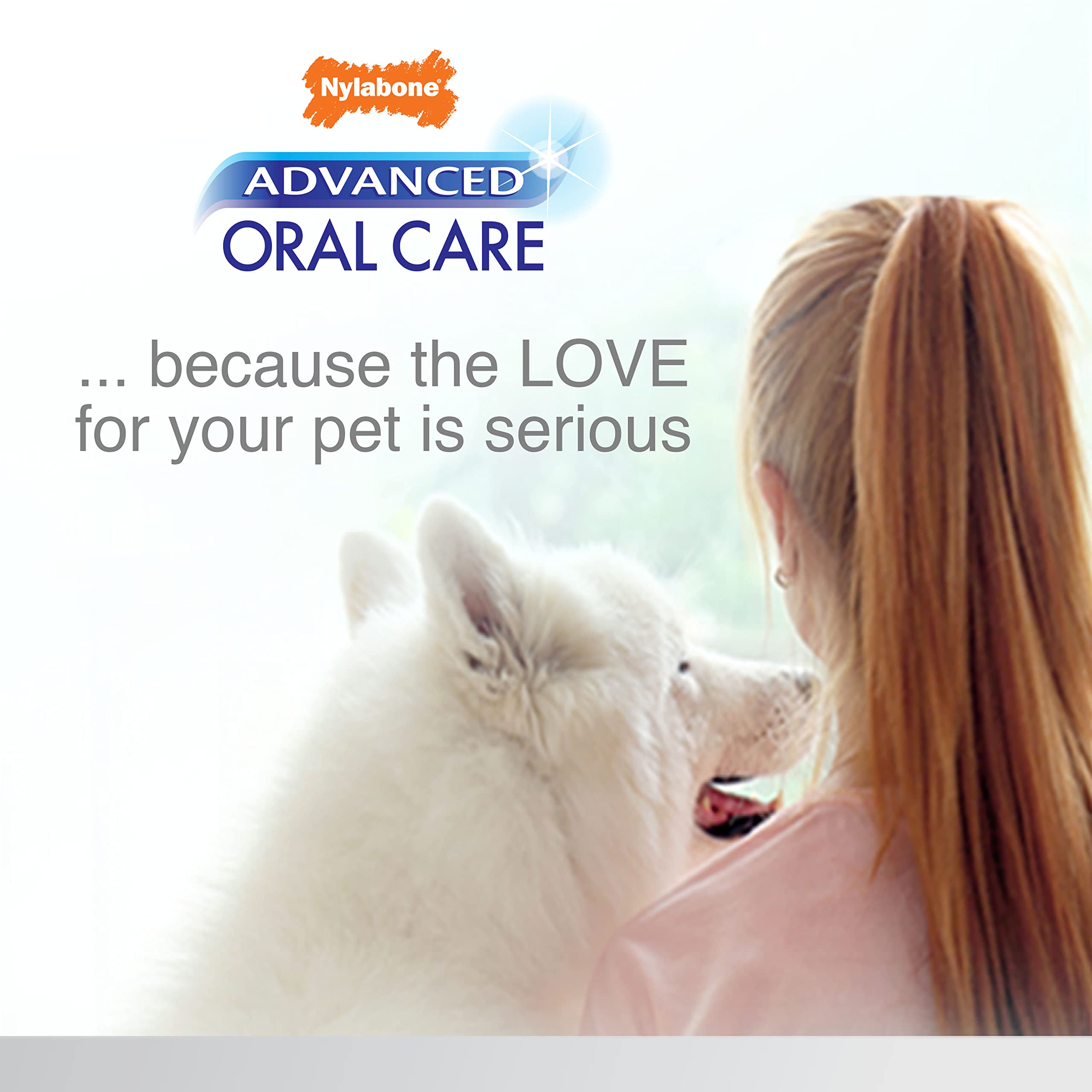 Nylabone rutina dental casera para perros senior