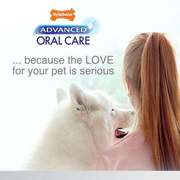 Nylabone rutina dental casera para perros senior