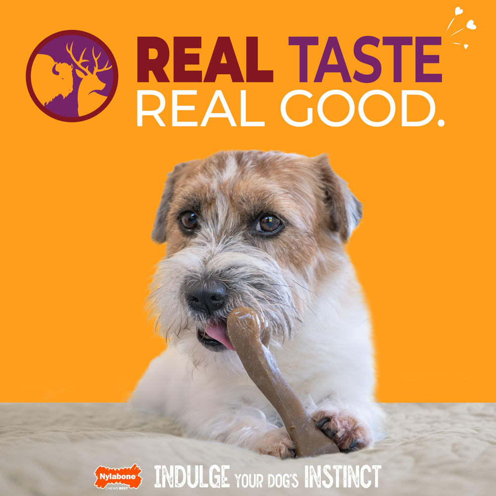 Nylabone sabor bisonte y venado: recompensa sabrosa para masticadores fuertes.