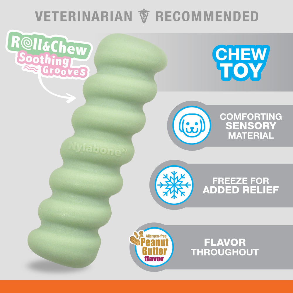 Nylabone sabor mantequilla de maní, palo para cachorros.