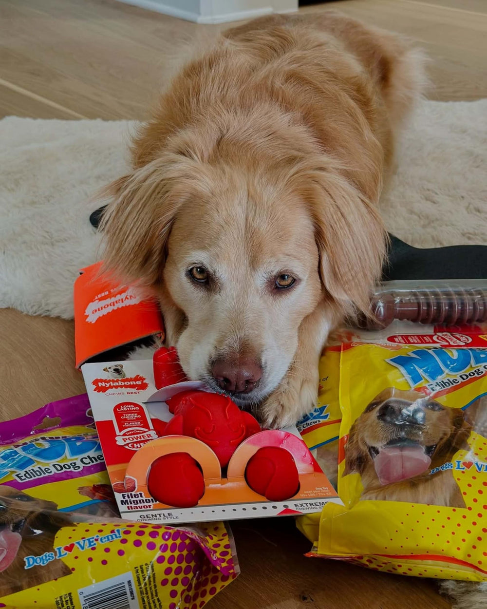 Nylabone Power Chew sabor Medley, sabor duradero para masticar con gusto.