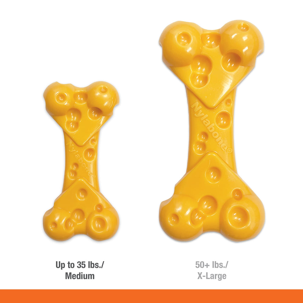 Nylabone Sabor a queso irresistible durante las sesiones de juego