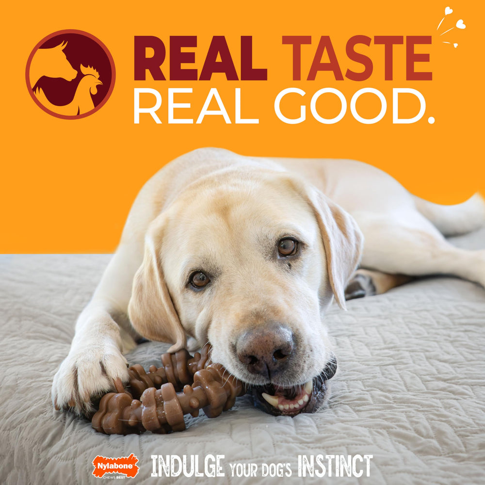 Nylabone Sabor Real Carne y Pollo, masticación con sabor irresistible para perros.