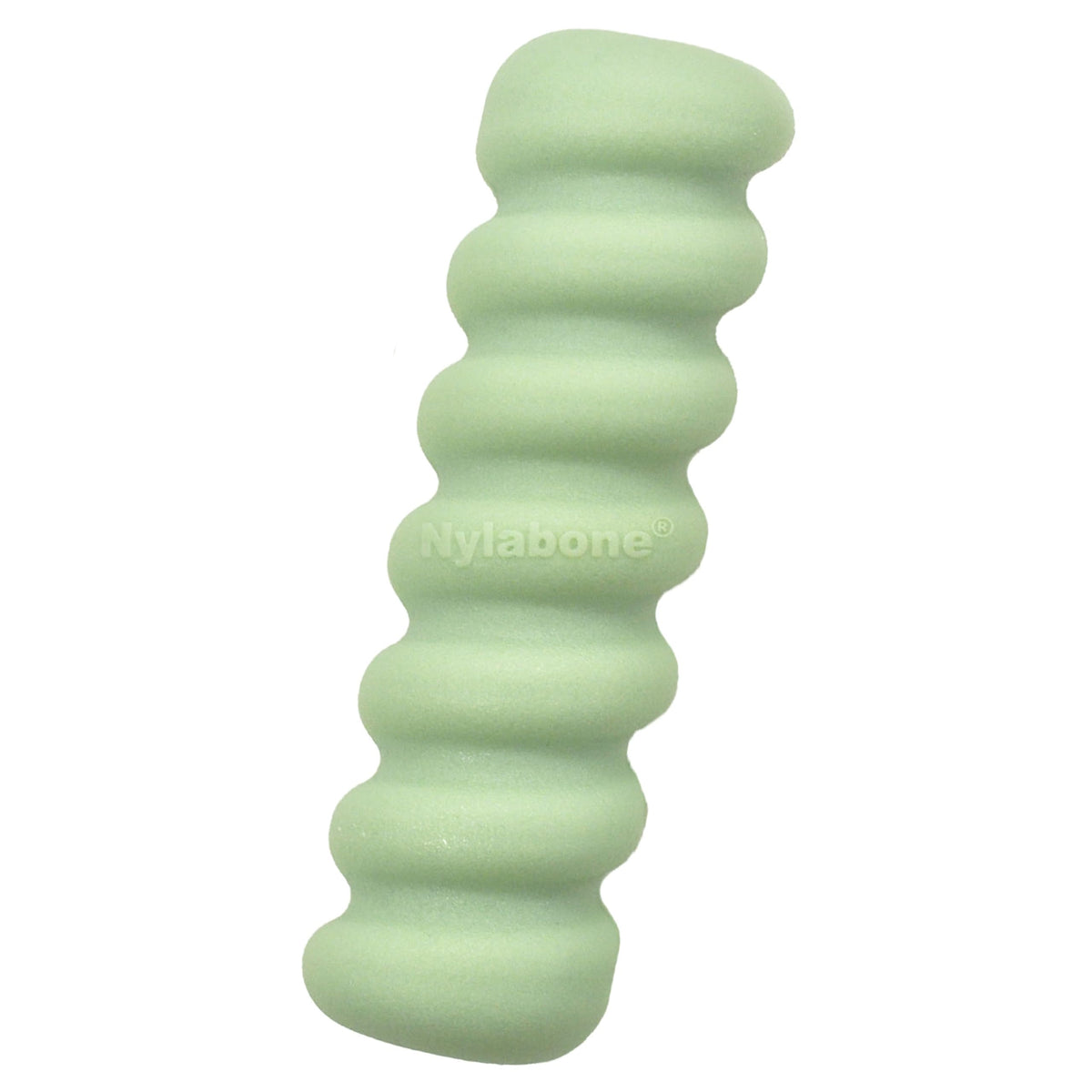 Nylabone sensorial masticación para cachorros, palo, promueve hábitos sanos.