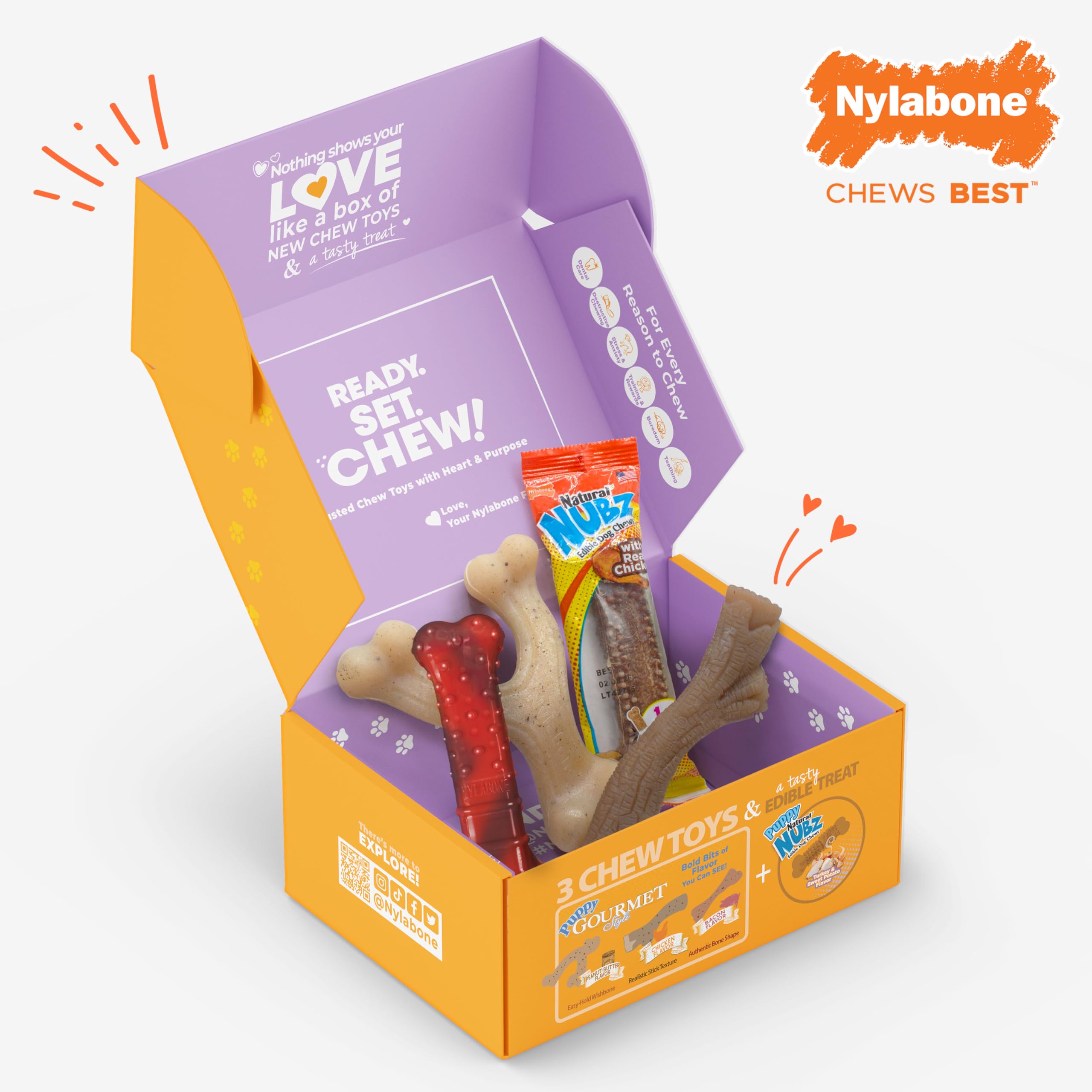 Nylabone set regalo para perros pequeños, adecuado para razas de hasta 11 kg