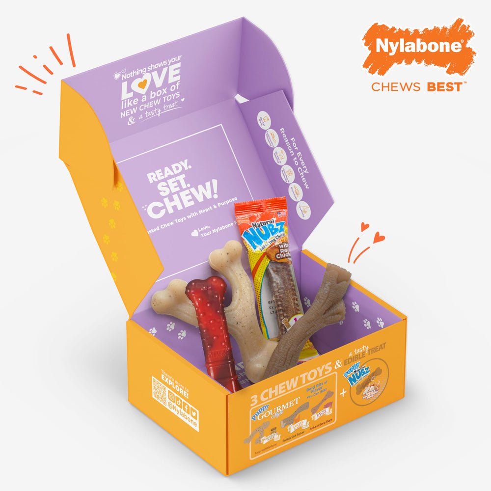 Nylabone set regalo para perros pequeños, adecuado para razas de hasta 11 kg