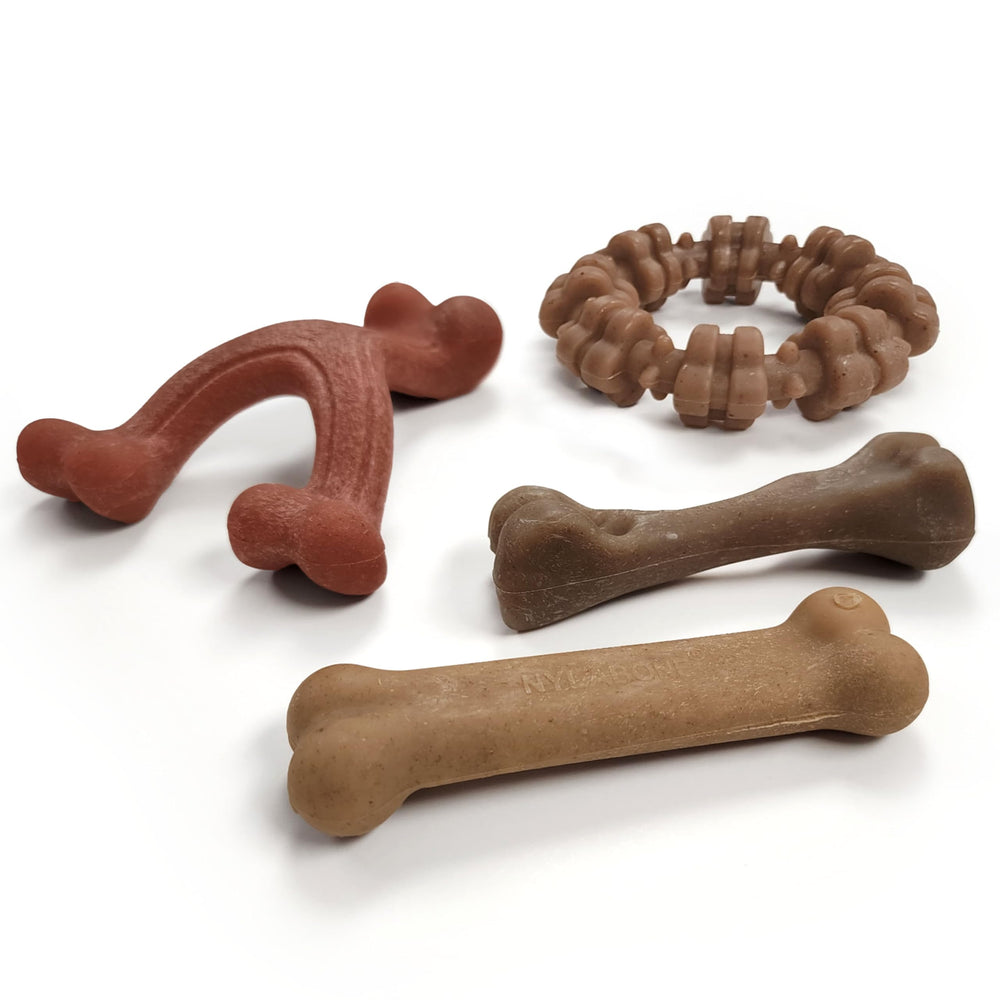 Nylabone Strong Chew Ring texturizado con res y pollo para limpieza dental