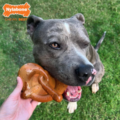 Nylabone surcos y nodos dentales que ayudan a limpieza durante la masticación.