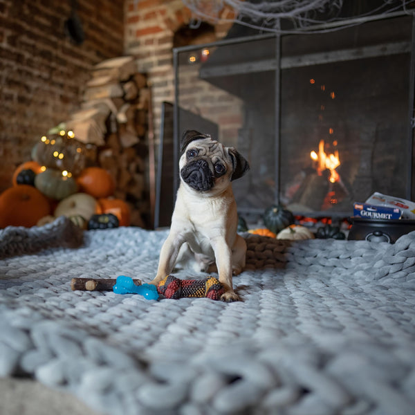Nylabone tamaño mediano, apto para perros de hasta 16 kg.