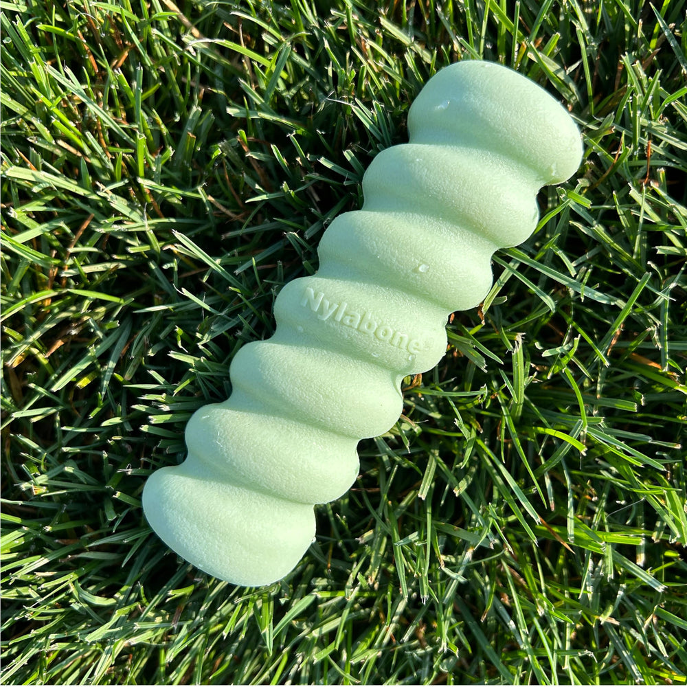 Nylabone textura relajante, palo para masticación.