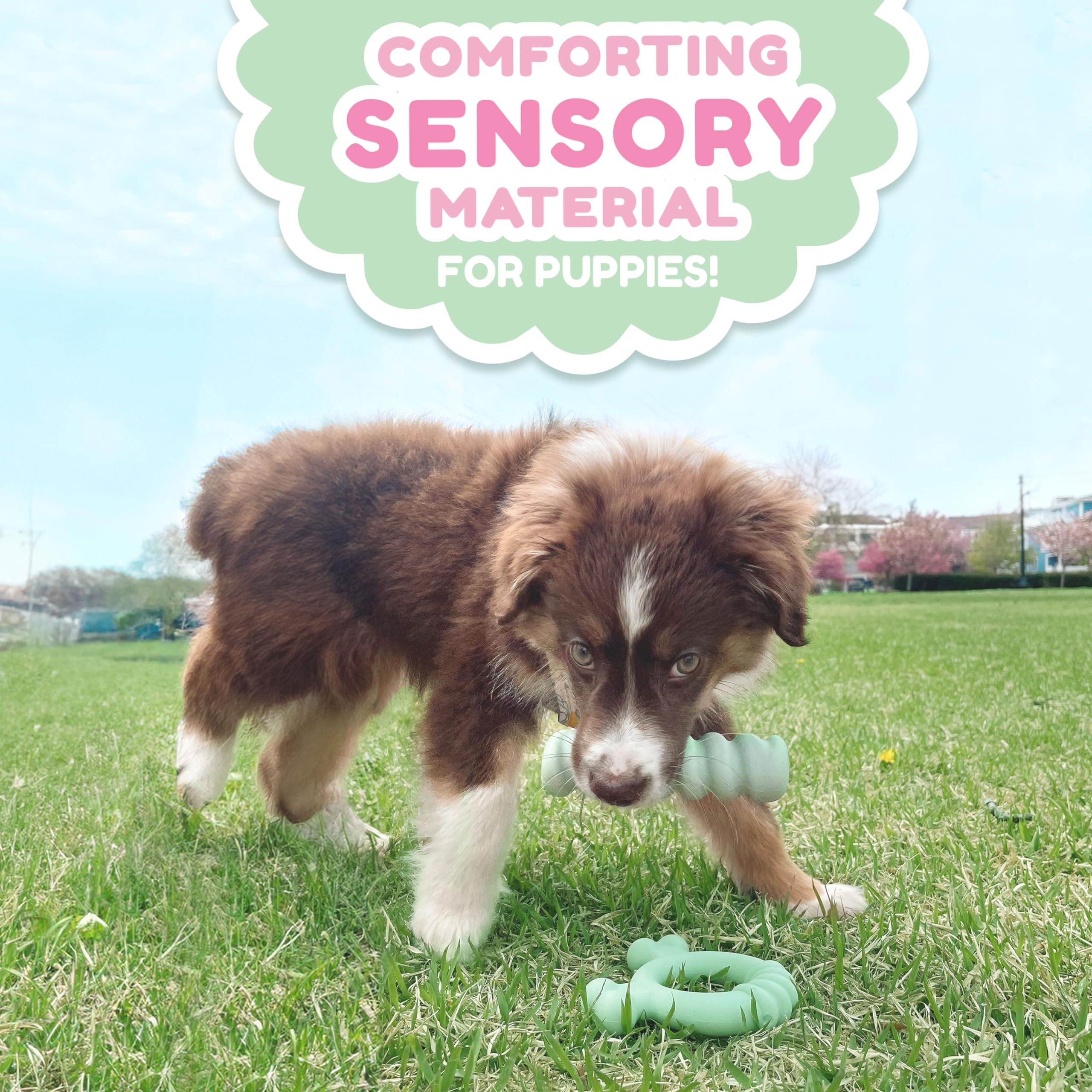 Nylabone, textura-unica-mordedor-cachorros, experiencia táctil para masticar.
