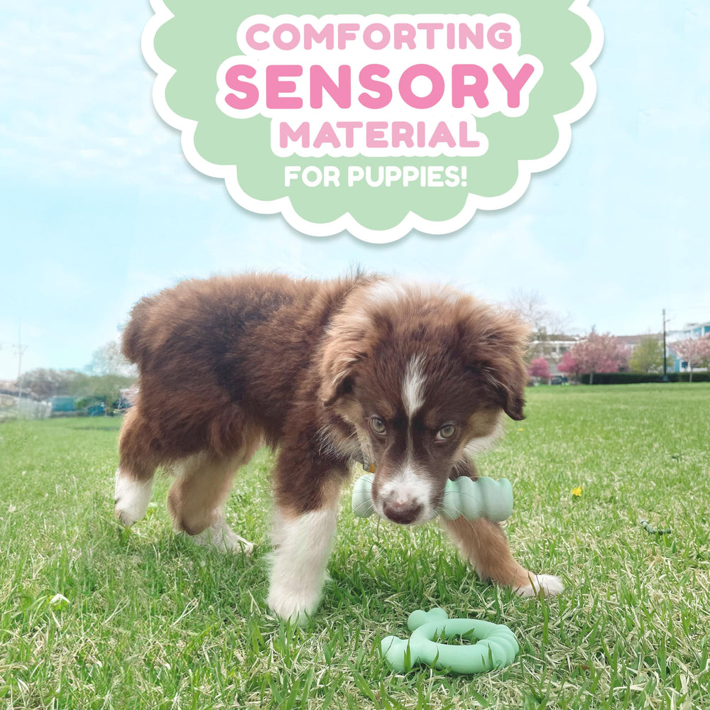 Nylabone, textura-unica-mordedor-cachorros, experiencia táctil para masticar.