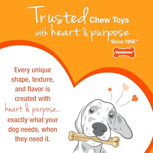 Nylabone recomendado para fomentar hábitos de masticar no destructivos.