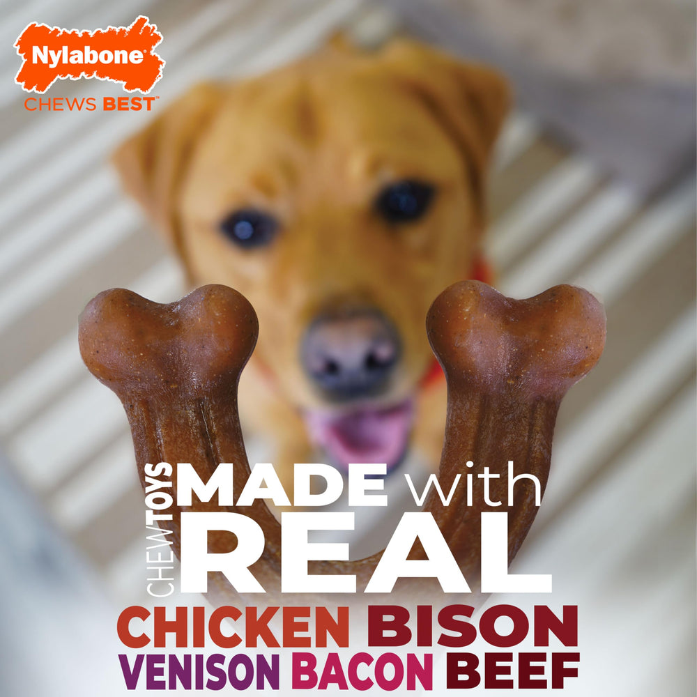 Nylabone Wishbone: entretenimiento constante para perros activos