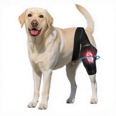 Nylvian Dog Knee Brace con ajuste frontal para mayor estabilidad en la pata trasera.