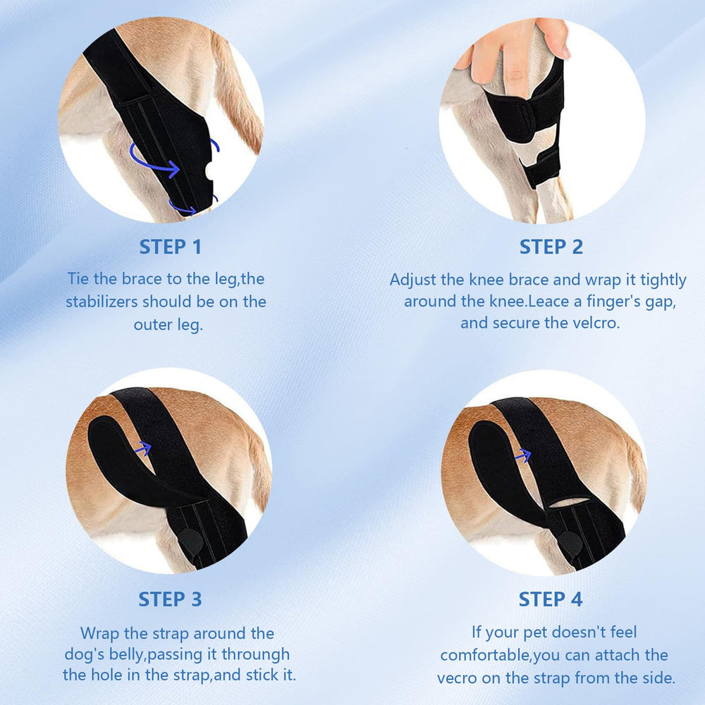 Nylvian Dog Knee Brace correas reforzadas para sujeción segura durante juego.