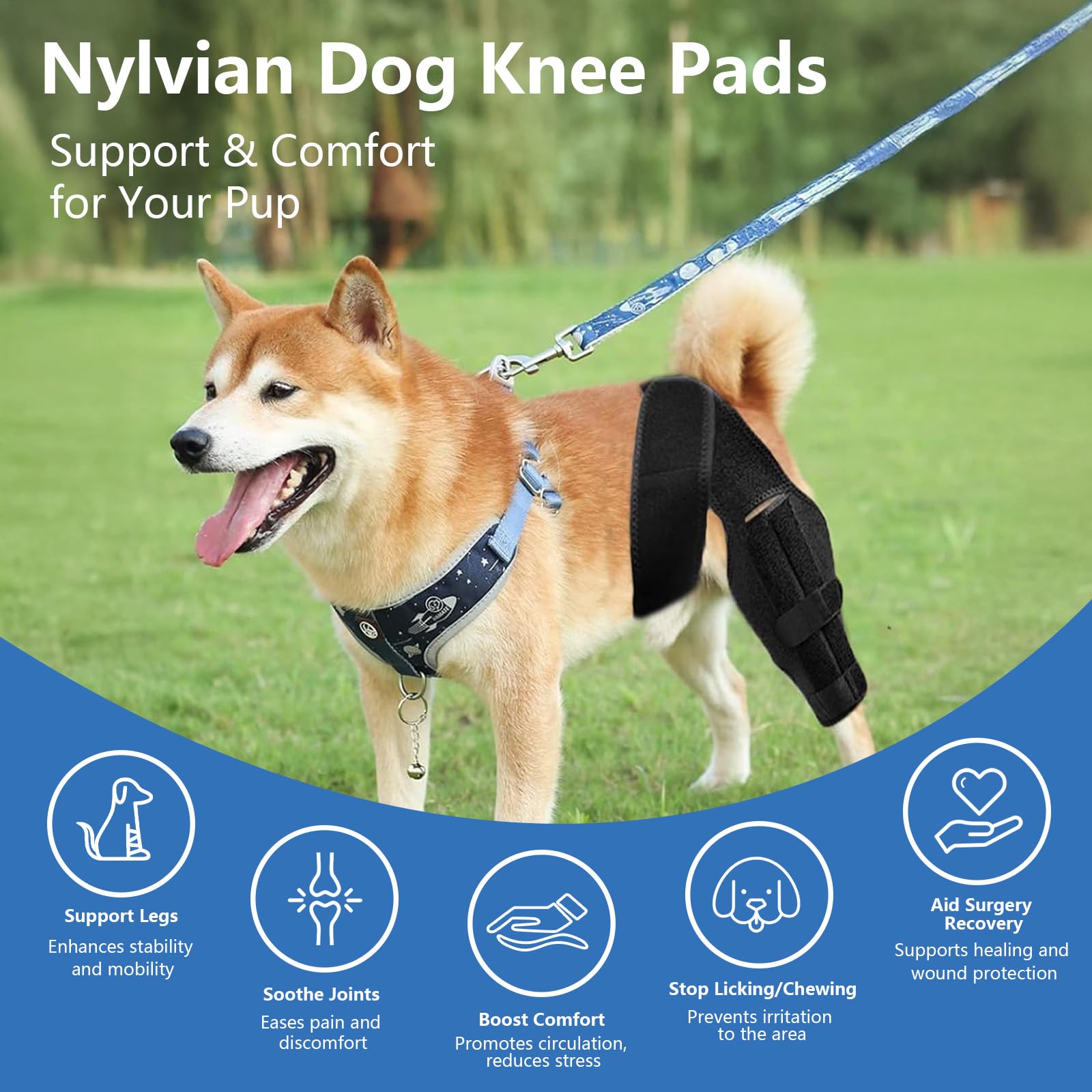 Guía de tallas Nylvian para rodilleras de perro para elegir correctamente.