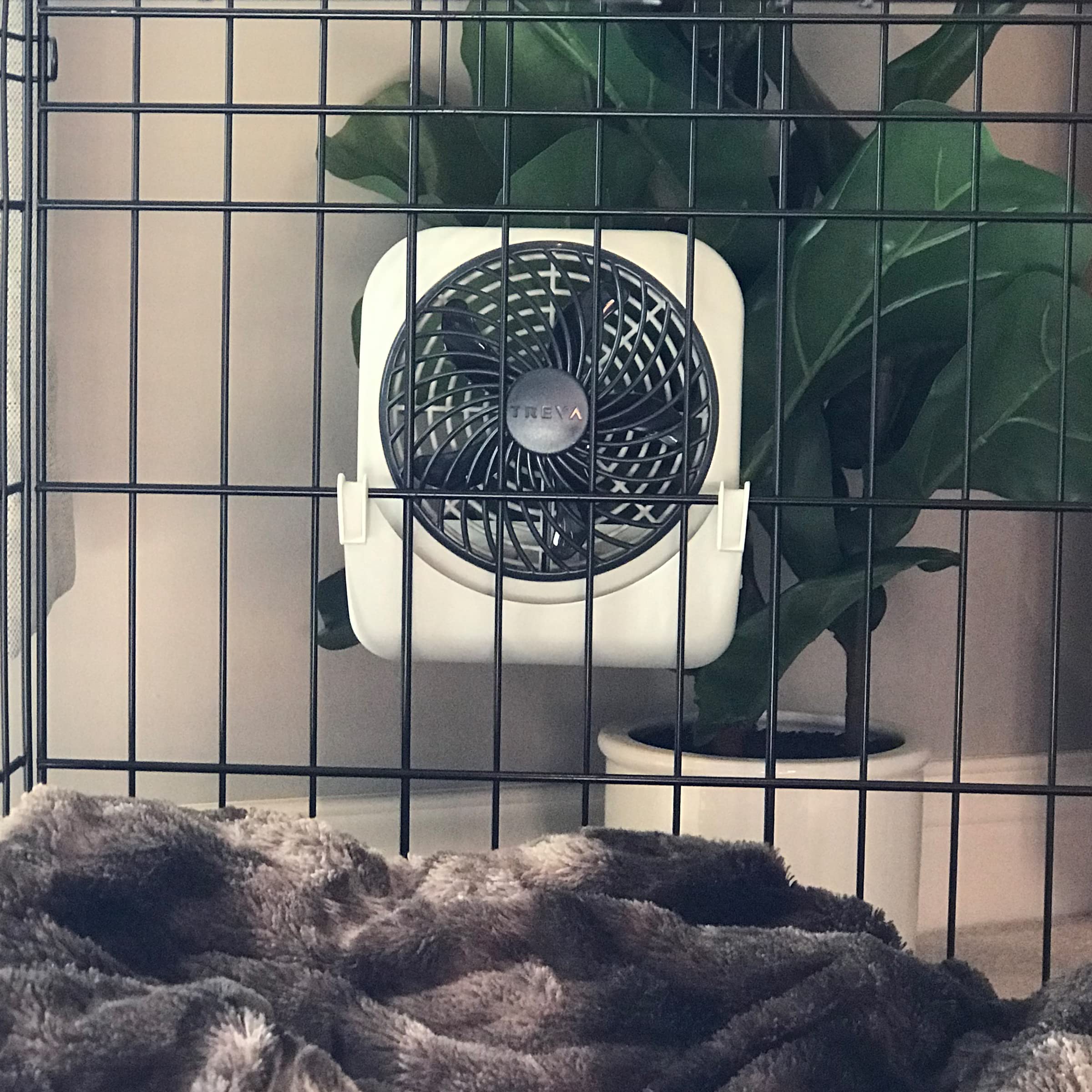 Seguridad y comodidad en casa y viaje para mascotas