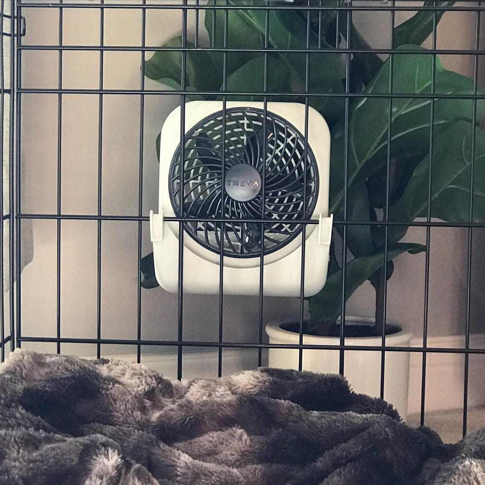 Seguridad y comodidad en casa y viaje para mascotas