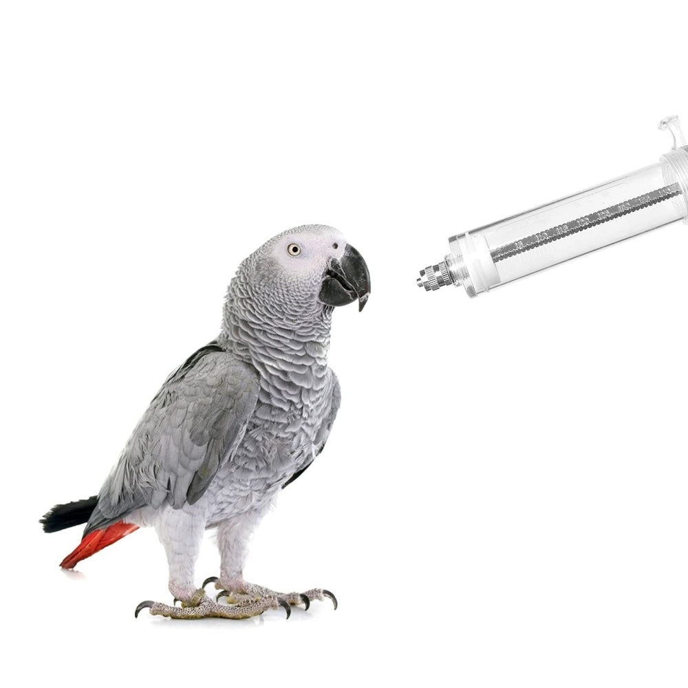 Conjunto OBANGONG de jeringas para aves, kit completo de alimentación y medicación