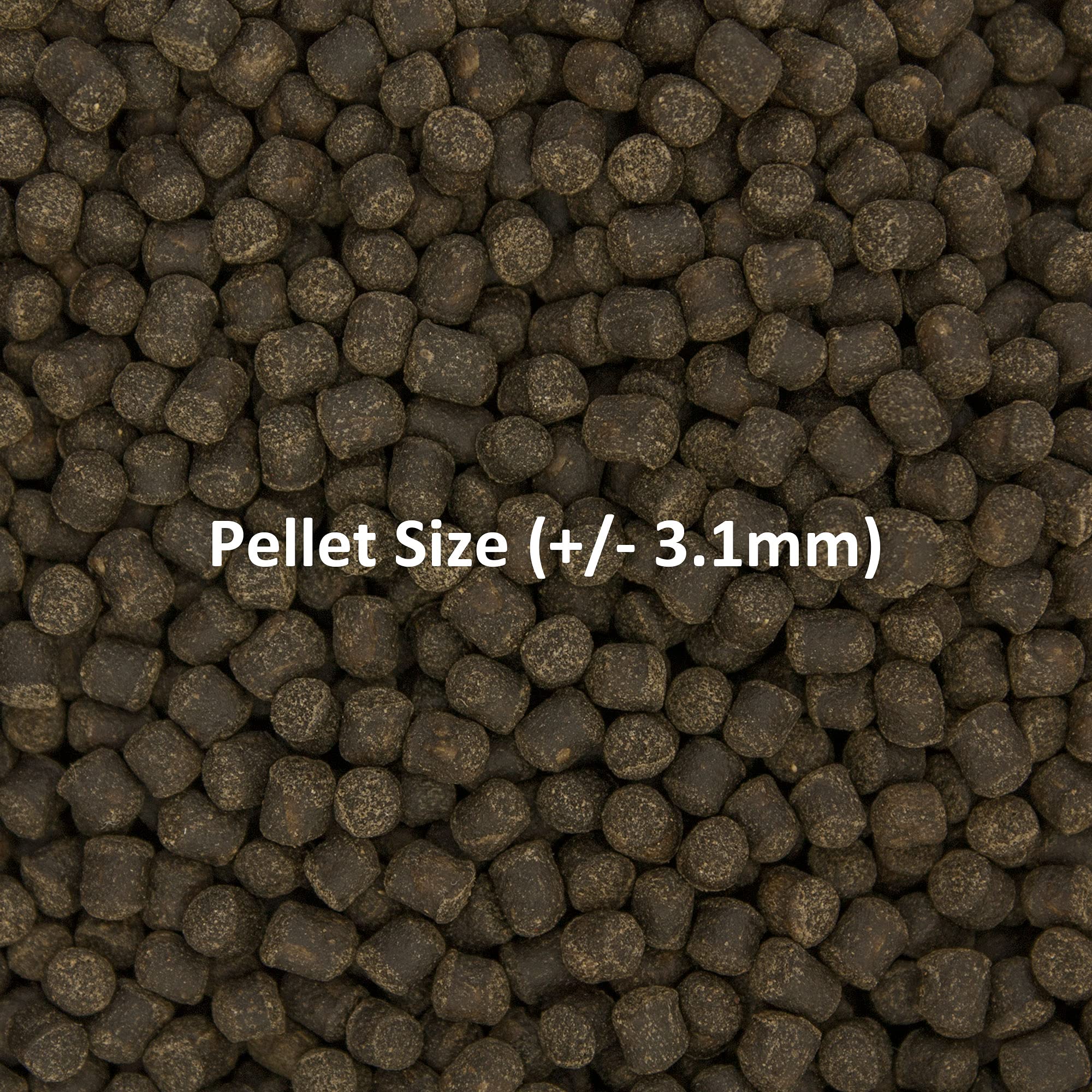 Pellets de Ocean Nutrition Fórmula Dos no enturbian el agua, acuario limpio.
