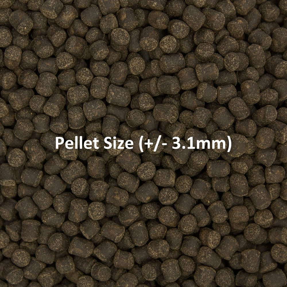 Pellets de Ocean Nutrition Fórmula Dos no enturbian el agua, acuario limpio.