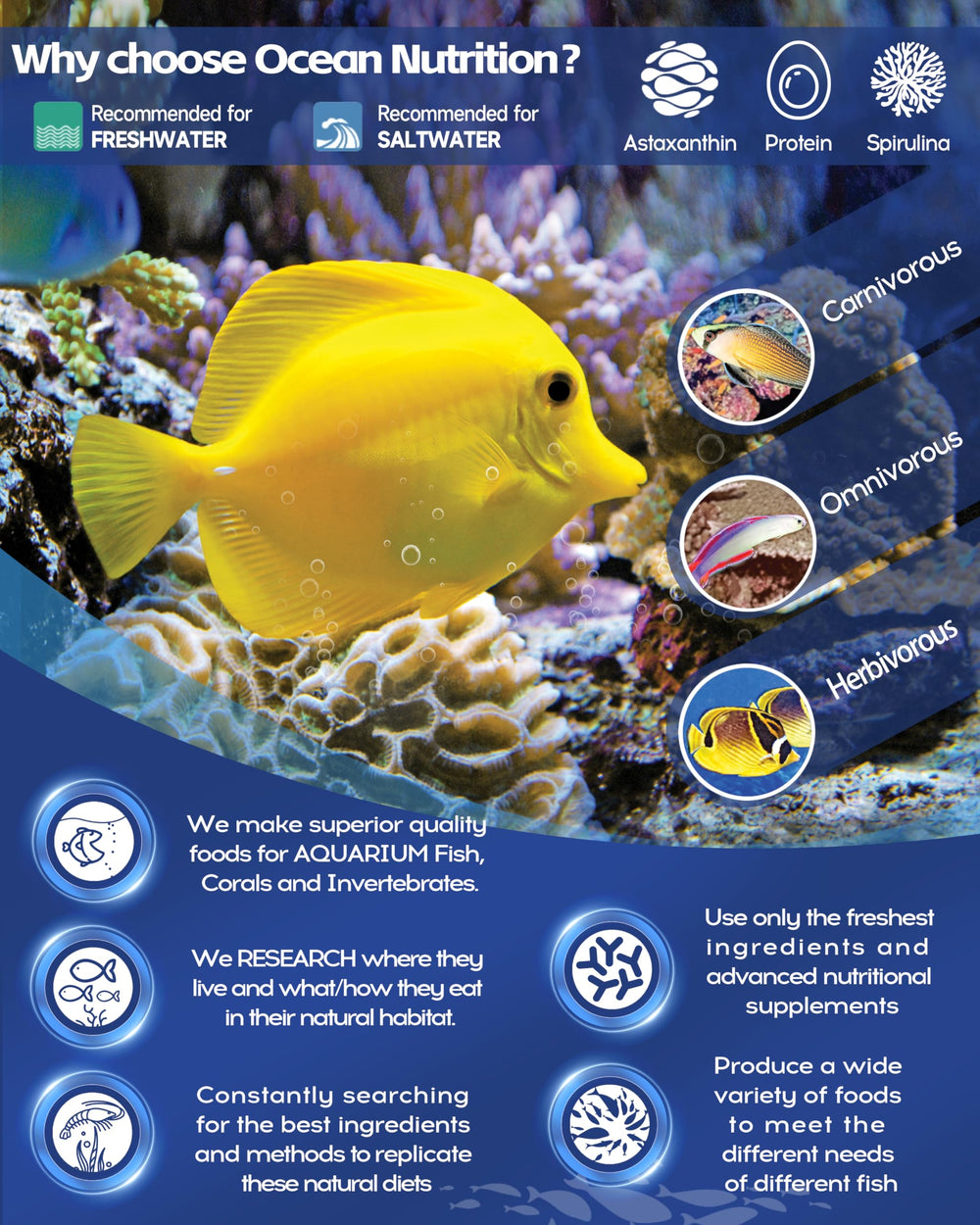 Ocean Nutrition Fórmula Dos, dispenser fácil para alimentar diariamente.