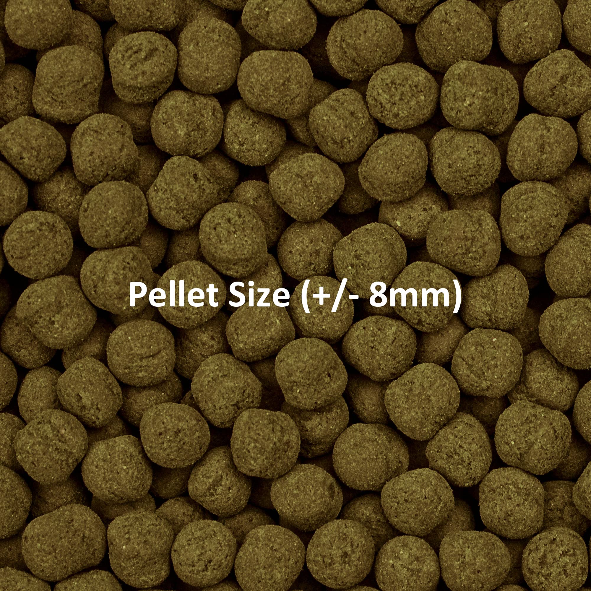 Ocean Nutrition Formula Dos Pellets: conserva la frescura gracias a envases sin oxígeno.