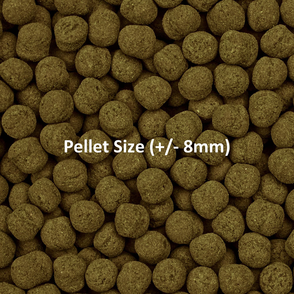 Ocean Nutrition Formula Dos Pellets: conserva la frescura gracias a envases sin oxígeno.