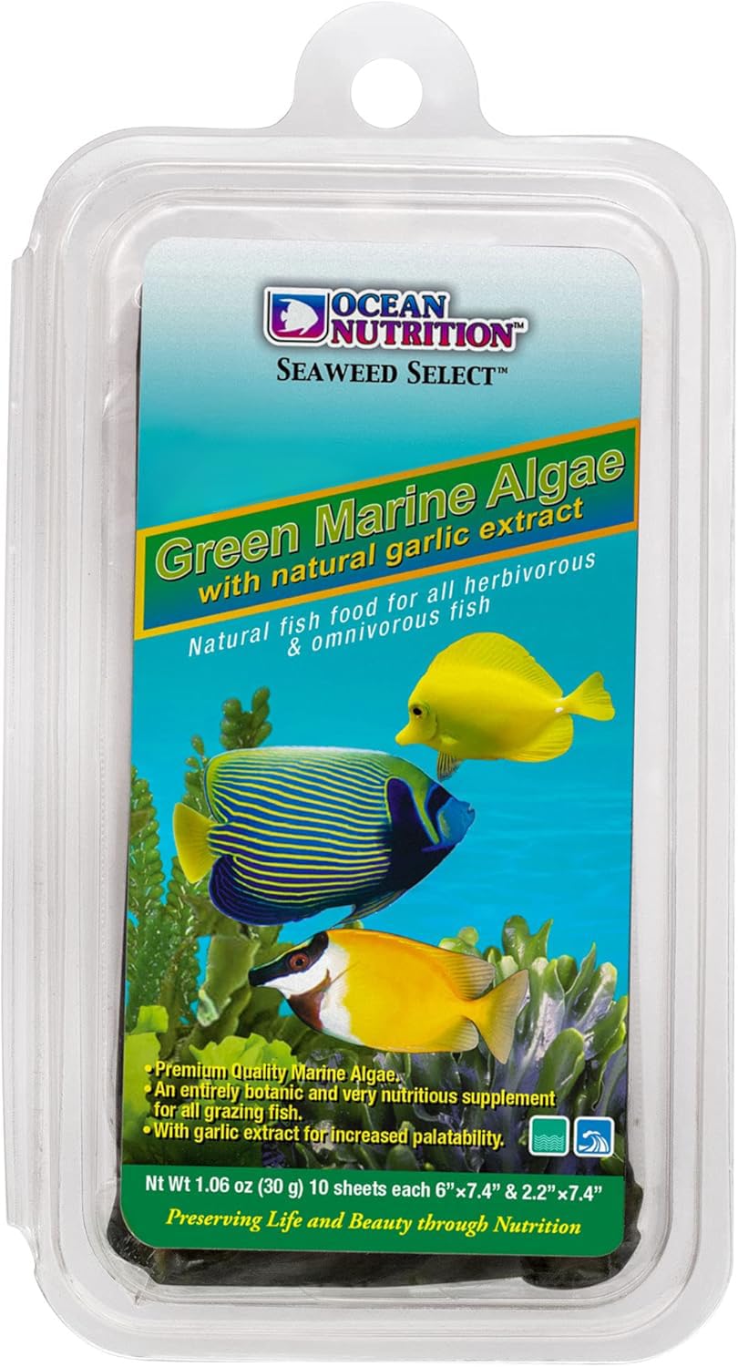 Ocean Nutrition Seaweed Select: hojas de alga verde, ideal para alimentación diaria de peces herbívoros.