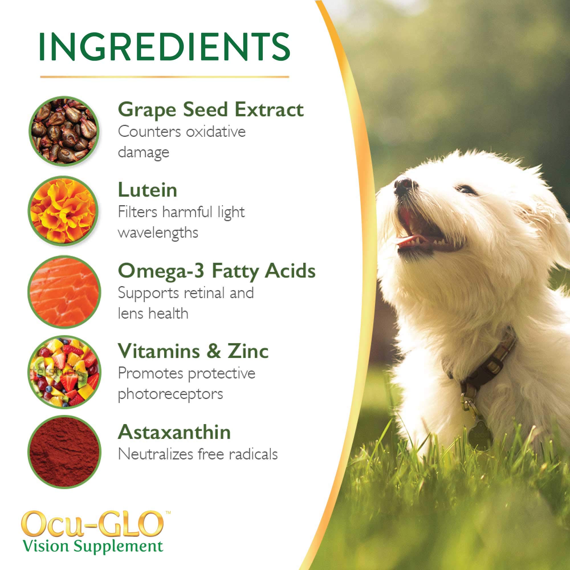 Ocu-GLO PB ingredientes: omega-3 y luteína para el cuidado ocular canino.
