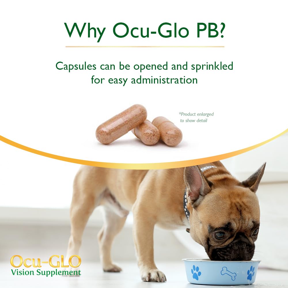 Ocu-GLO PB sin cápsulas: dosis completa sin grasa ni molestias al perro.