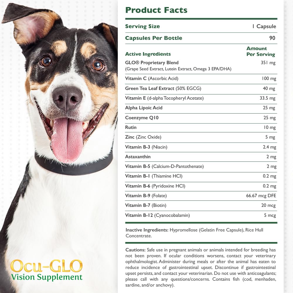 Ocu-GLO PB uso diario para perros: polvo fácil de administrar durante la comida.