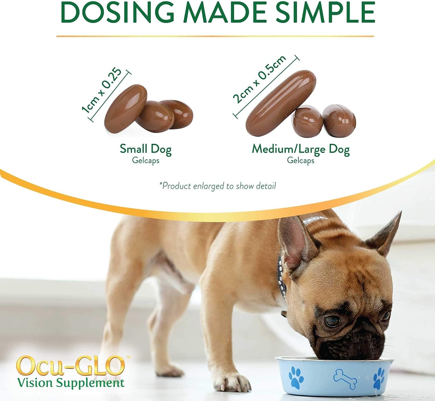 Perro comiendo su comida con Ocu-GLO para apoyar la visión