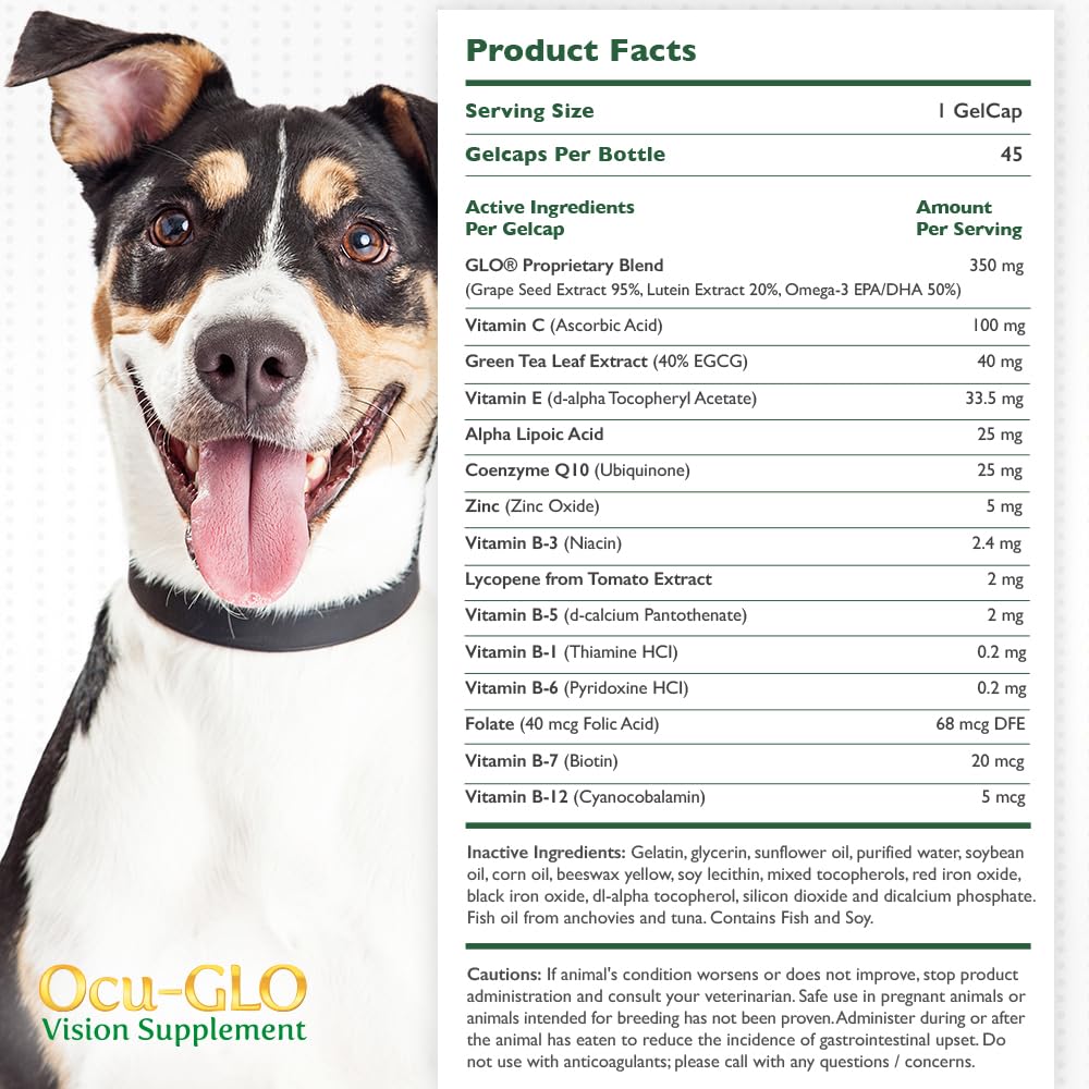 Ocu-GLO Vision: dosis sencilla, se añade al alimento húmedo para perros