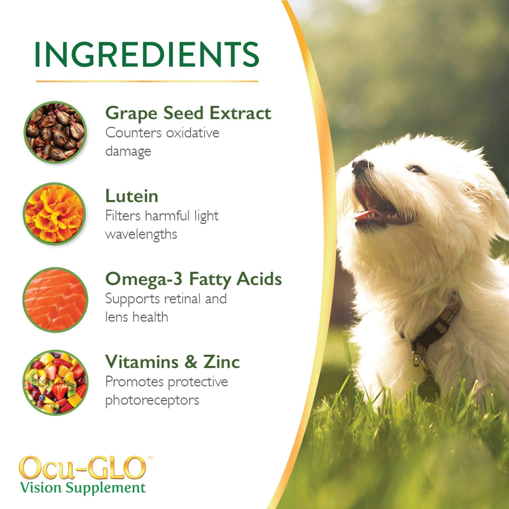 Ocu-GLO ingredientes de calidad para visión canina y salud ocular.
