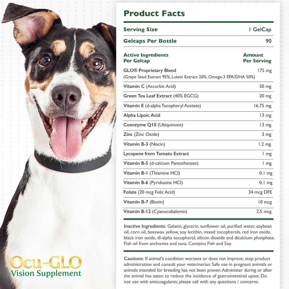 Ocu-GLO uso diario para perros pequeños con apoyo ocular.