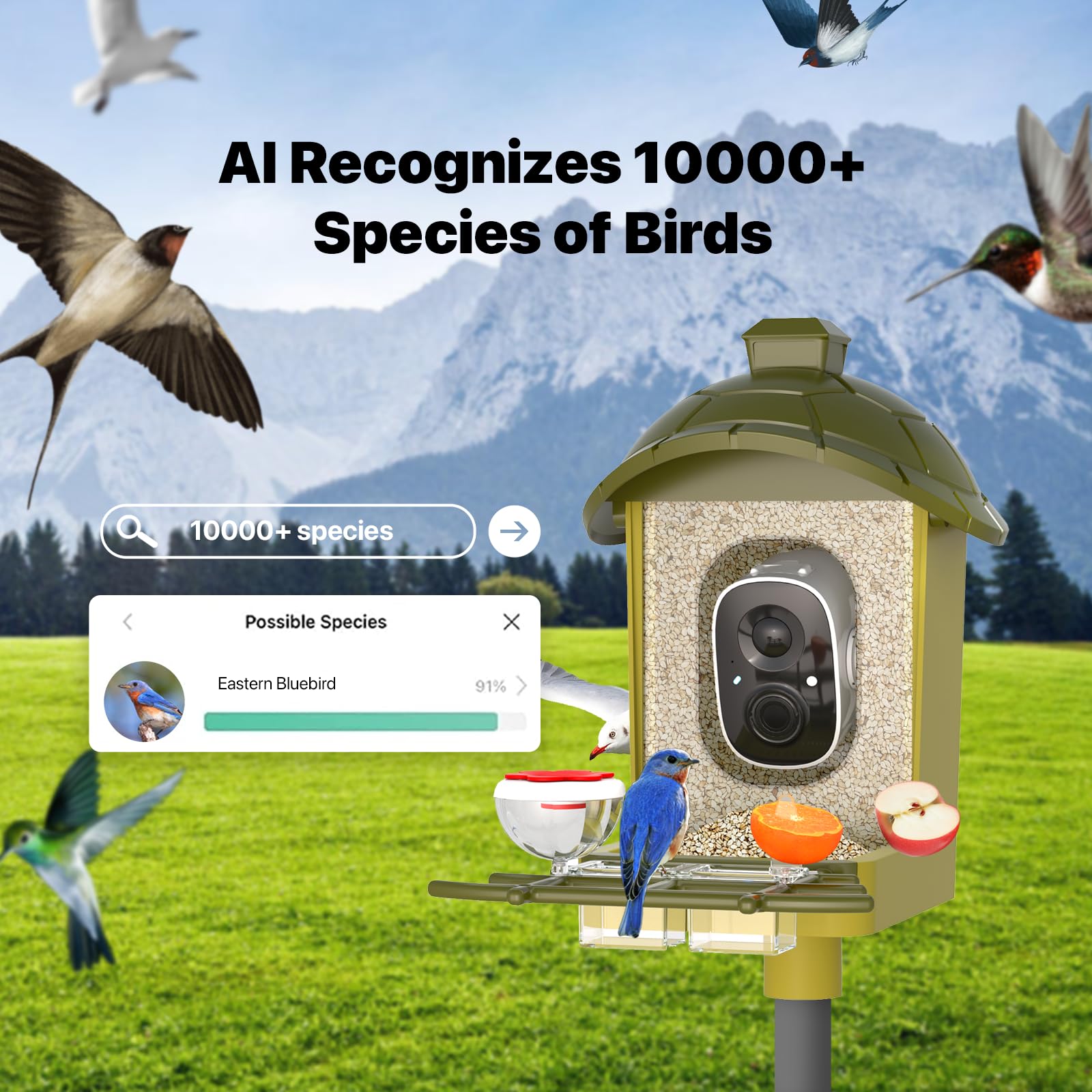 oddkont camara pajaros panoramica 140 grados vista amplia.