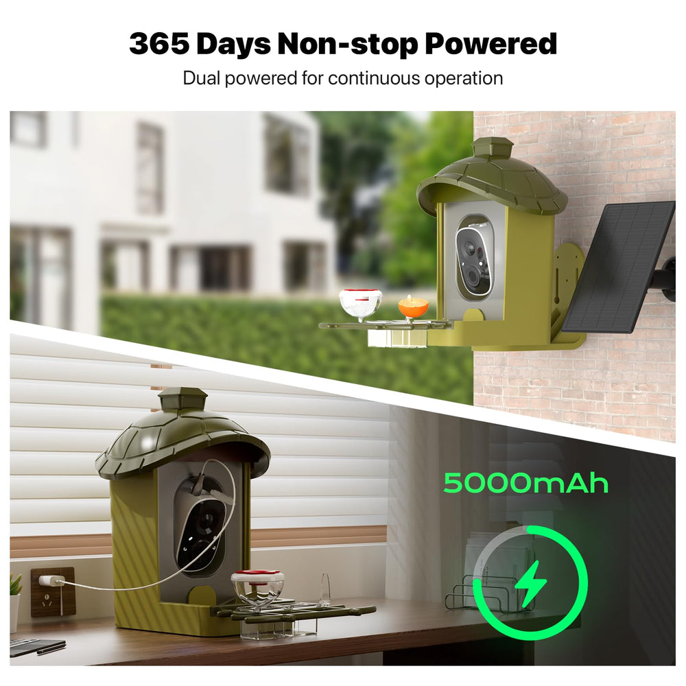 oddkont regalo ideal para amantes de las aves y familias.