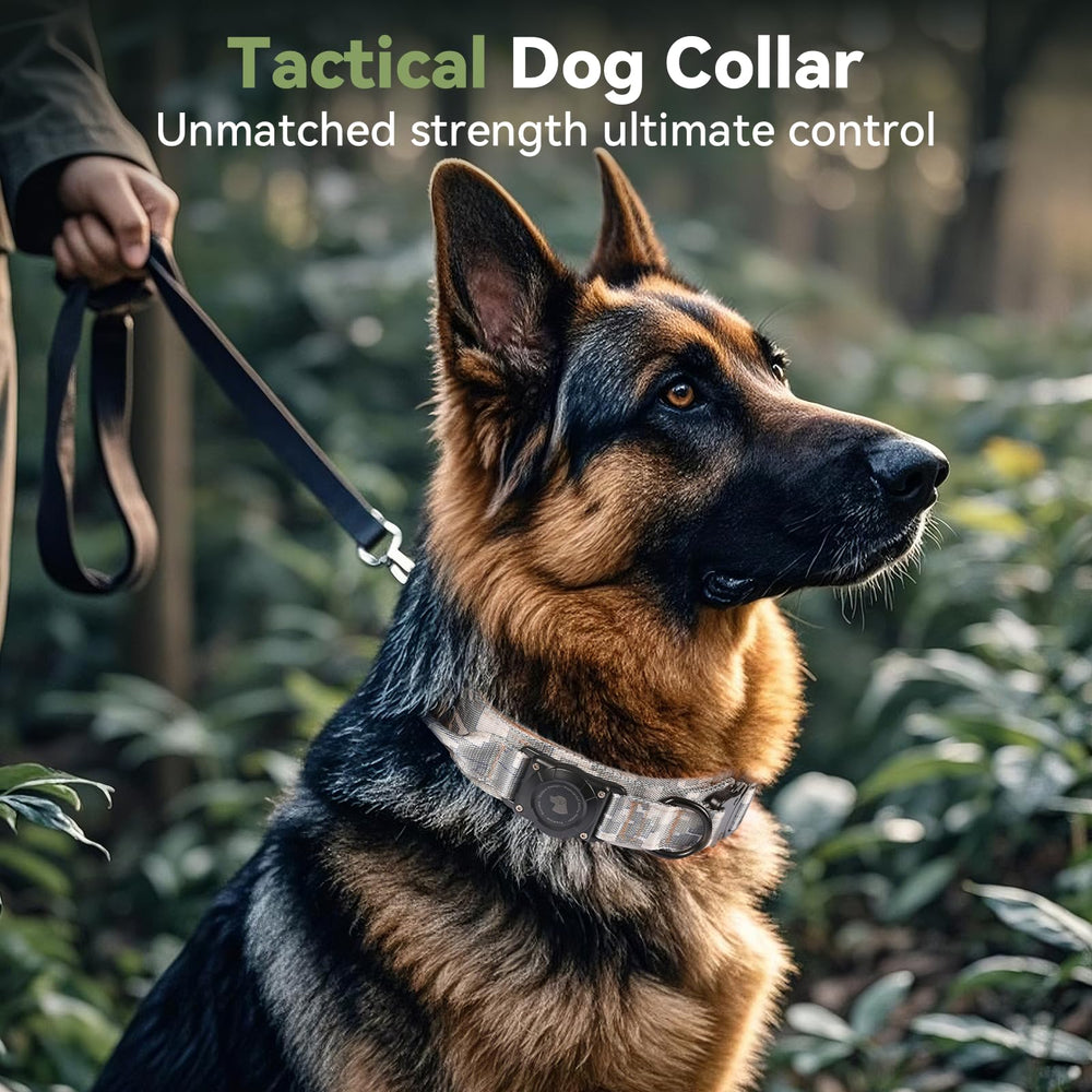 Odokele Collar AirTag con asa de control amplia para mayor agarre.