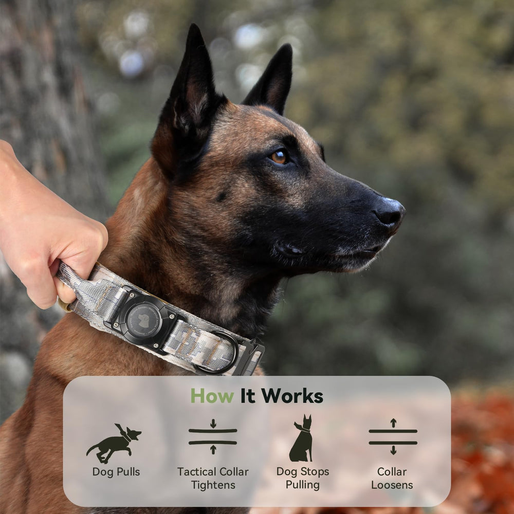 Odokele Collar AirTag para aventuras al aire libre, duradero.