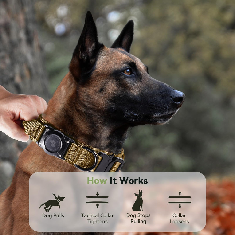 Odokele Collar ideal para aventuras al aire libre y paseos diarios