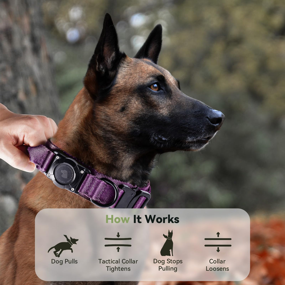 Odokele collar para aventuras al aire libre, ideal para paseos y senderismo.