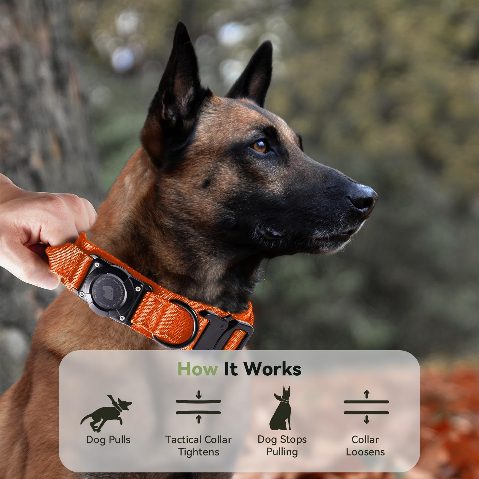 Odokele collar ideal para aventuras al aire libre con AirTag